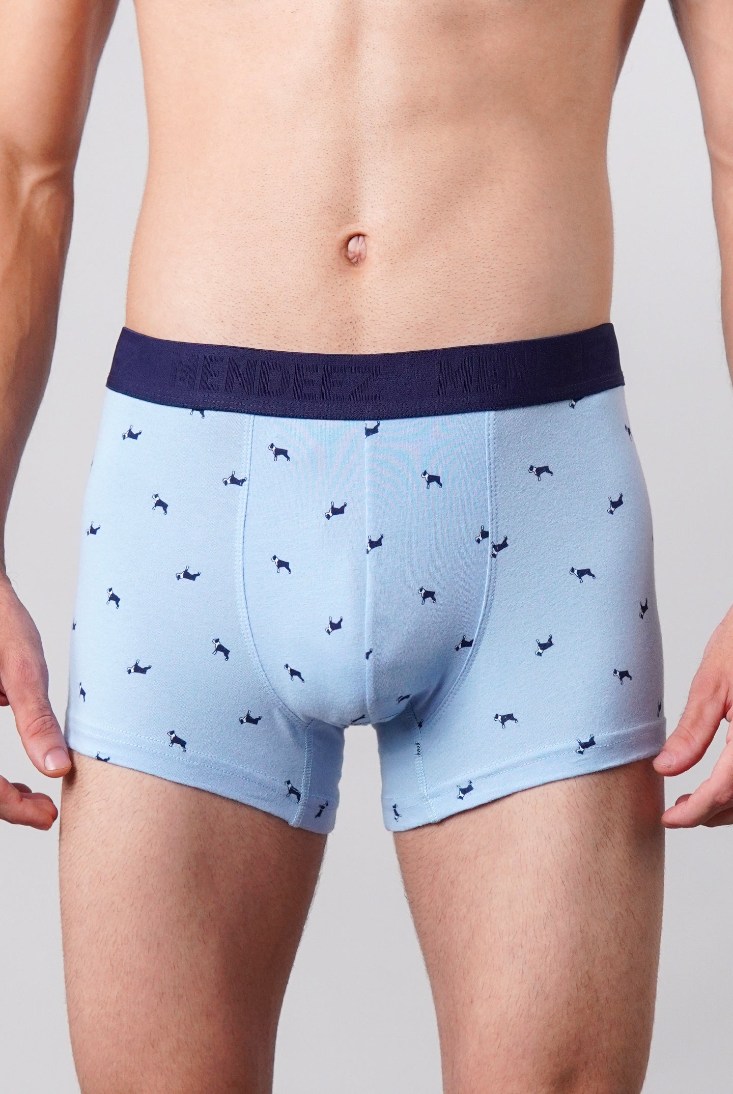Dog Printed Boxer Trunks - Sky Blue - Mendeez