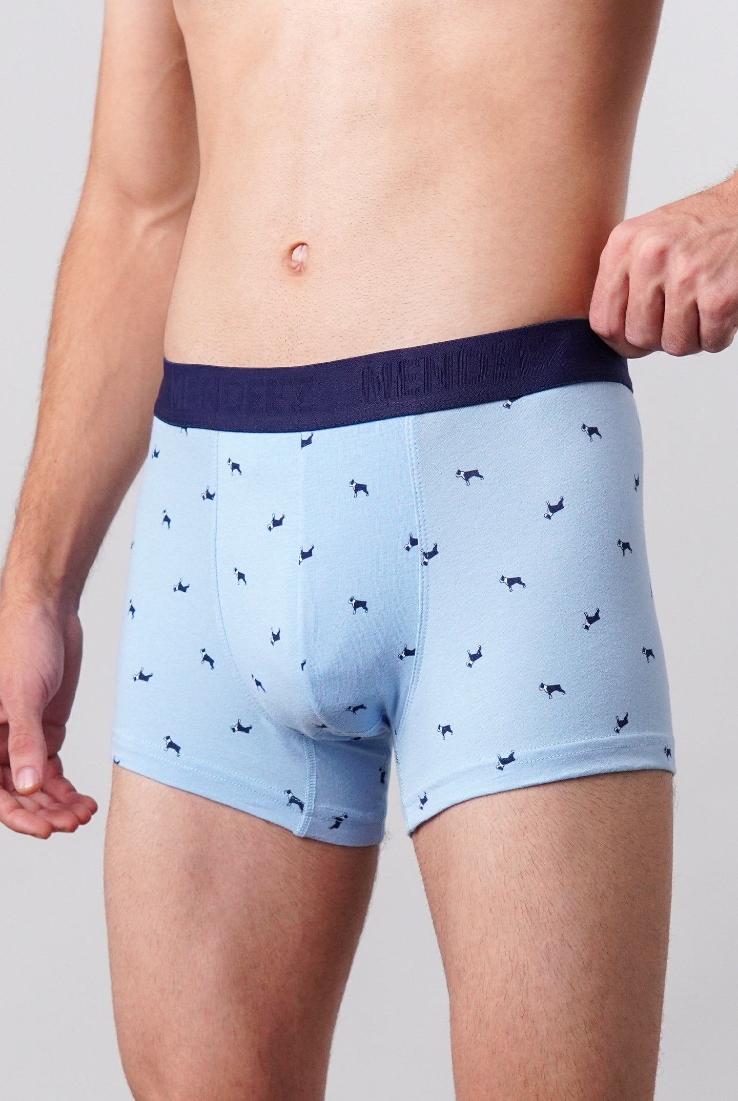 Dog Printed Boxer Trunks - Sky Blue - Mendeez