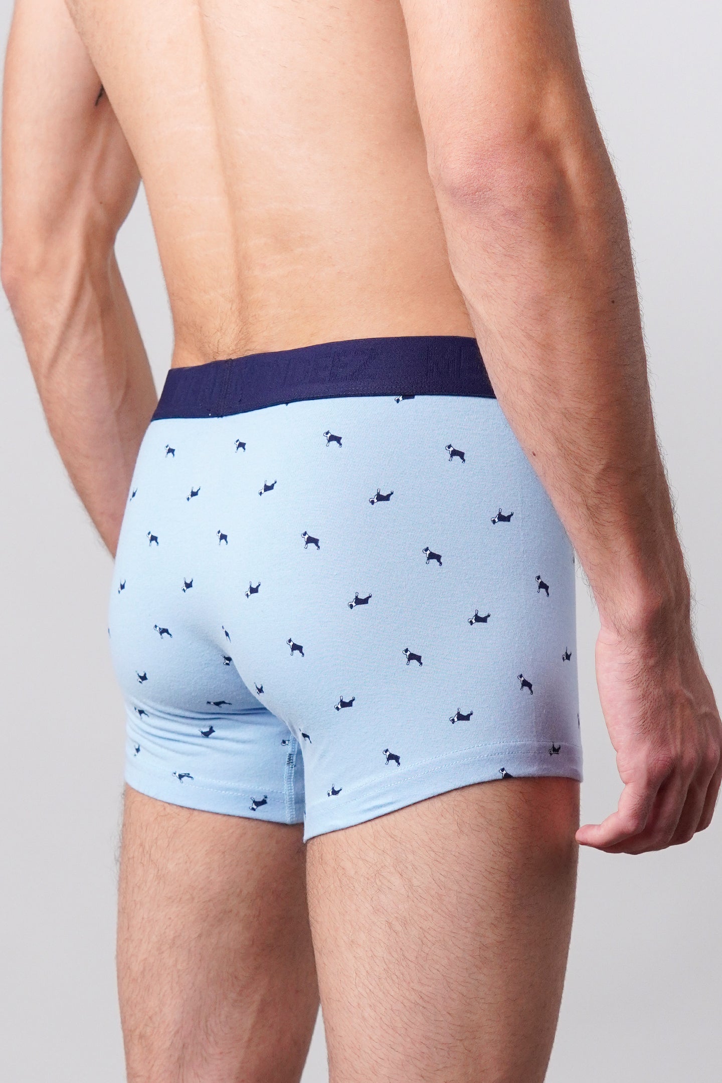 Dog Printed Boxer Trunks - Sky Blue - Mendeez