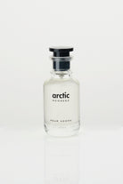 Arctic Pour Homme - 60ml - Mendeez
