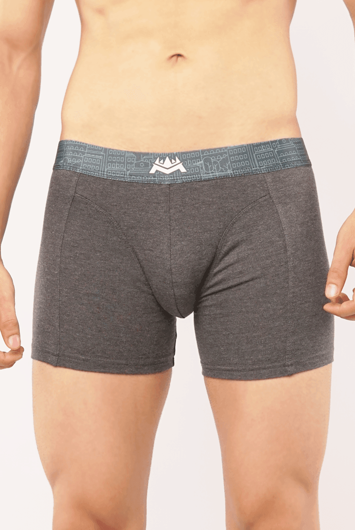 Grains Boxer Brief-MENDEEZ-Brief