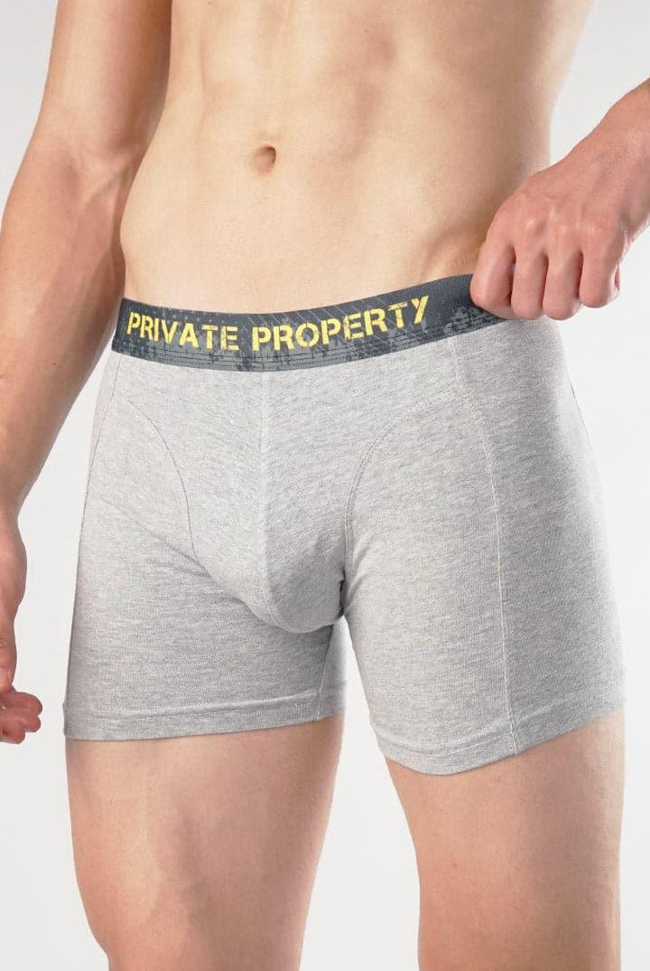 Private property Boxer Brief-MENDEEZ-Brief