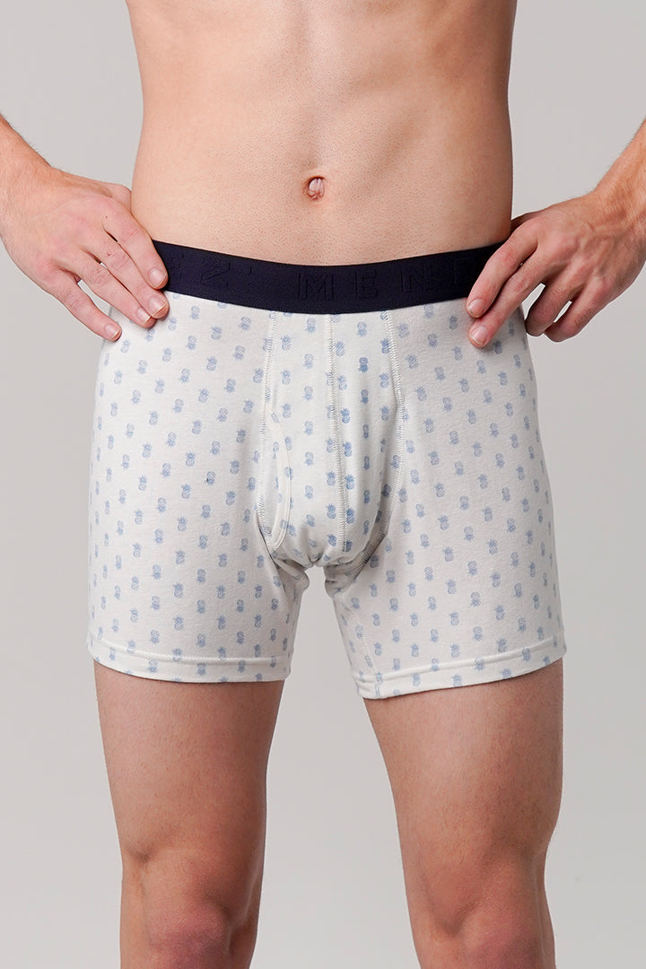 Pineapple Printed Ball Pouch Boxer - White - Mendeez