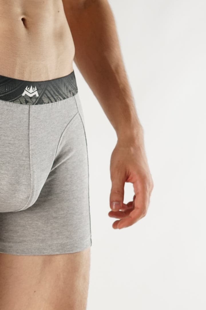 Apollo Grey Boxer Brief - Mendeez PK 