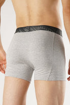 Apollo Grey Boxer Brief - Mendeez PK 