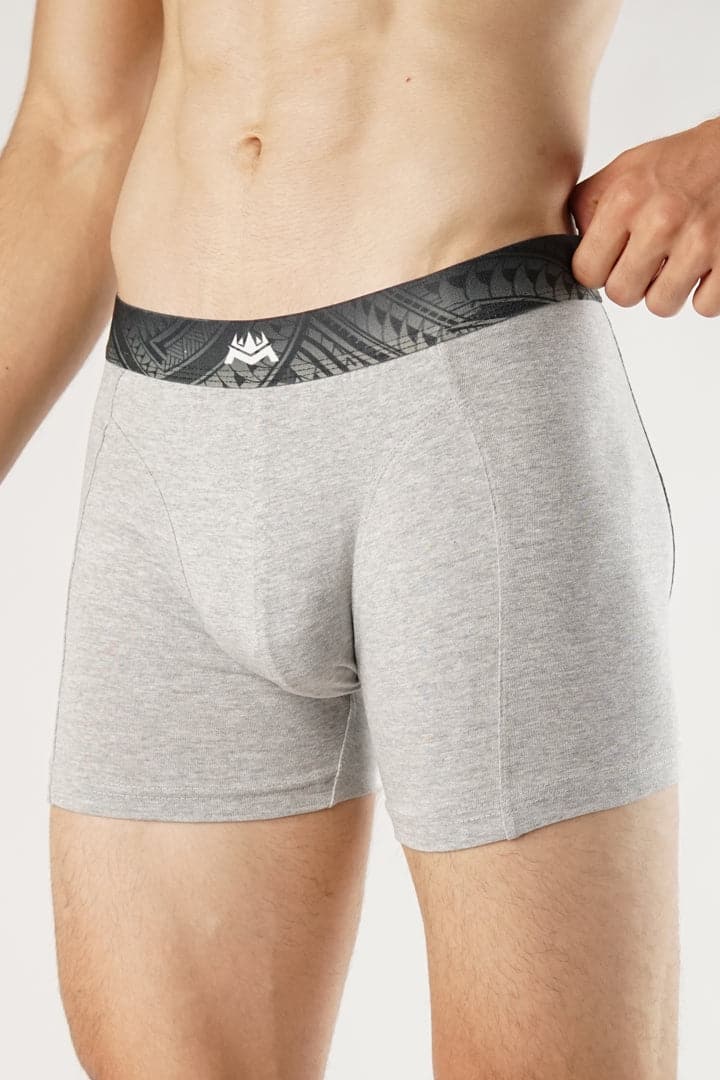 Apollo Grey Boxer Brief - Mendeez PK 