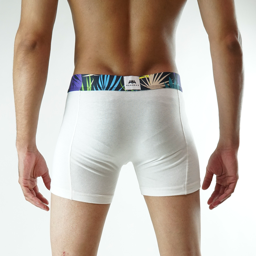 Tropical Printed Boxer Brief - White (4733304799341)