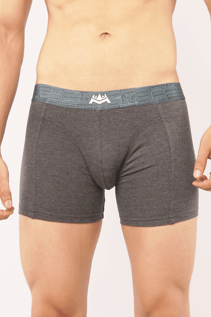 Grains Boxer Brief-MENDEEZ-Brief