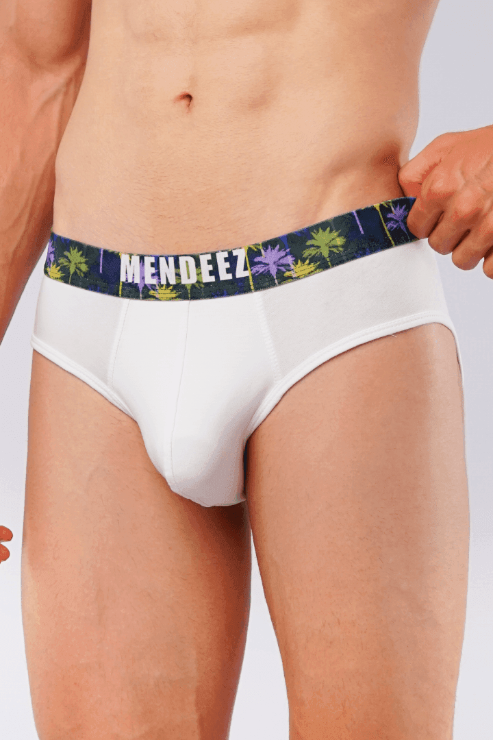 Palmy Briefs – Pack of 3-MENDEEZ-Brief