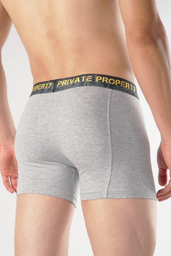 Private property Boxer Brief-MENDEEZ-Brief