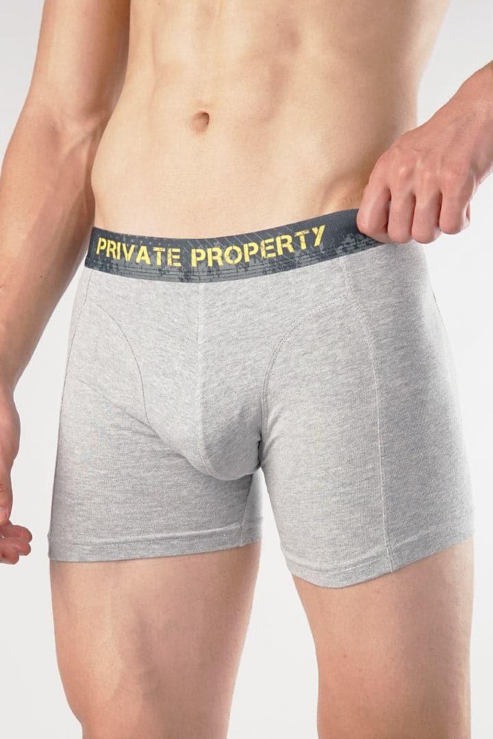 Private property Boxer Brief-MENDEEZ-Brief