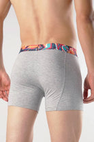 The Legend Boxer Brief-MENDEEZ-Brief