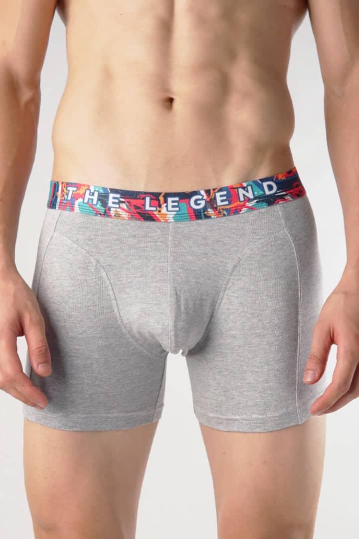 The Legend Boxer Brief-MENDEEZ-Brief