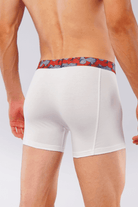 Whirlpool Boxer Brief-MENDEEZ-Brief